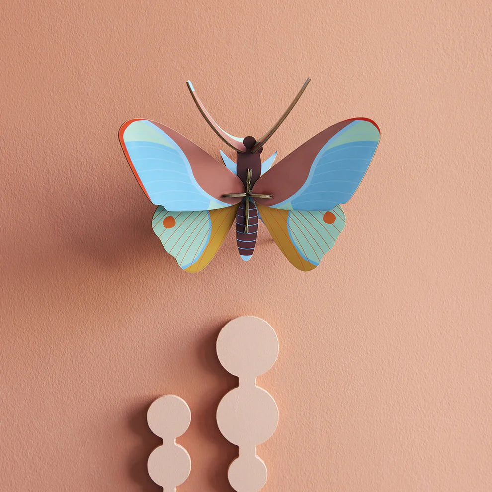 Claudina Butterfly-Top 30 Decor-Little Fish Co.