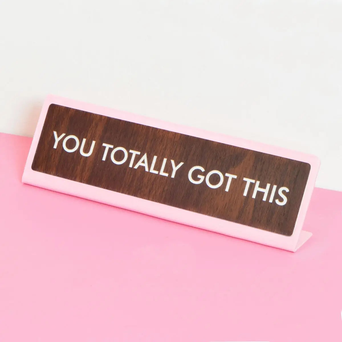 You Totally Got This desk sign