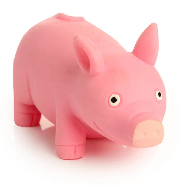 Squeezy Stretchy Pig-Top 30 Decor-Little Fish Co.