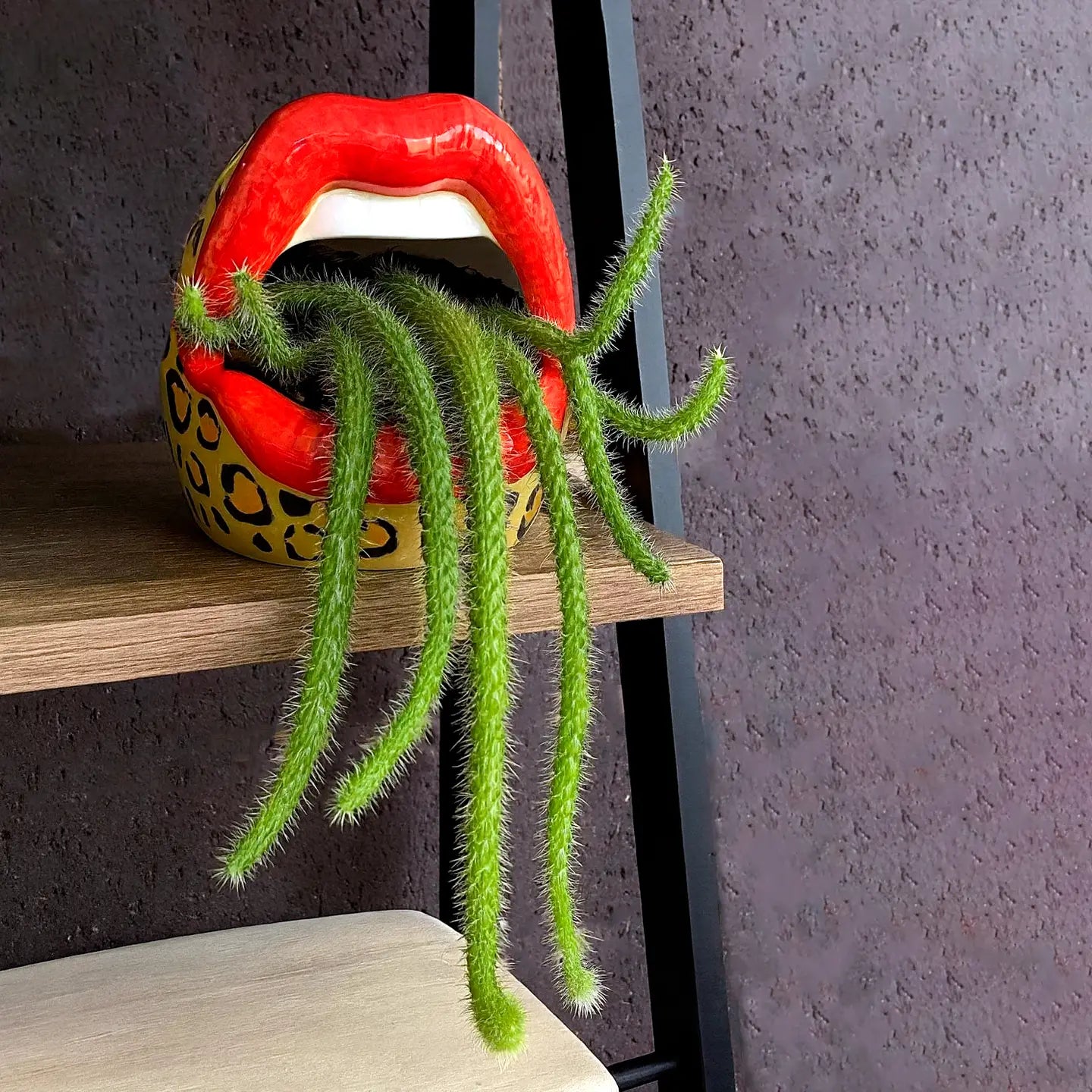 Leopard Lips Ashtray / Container