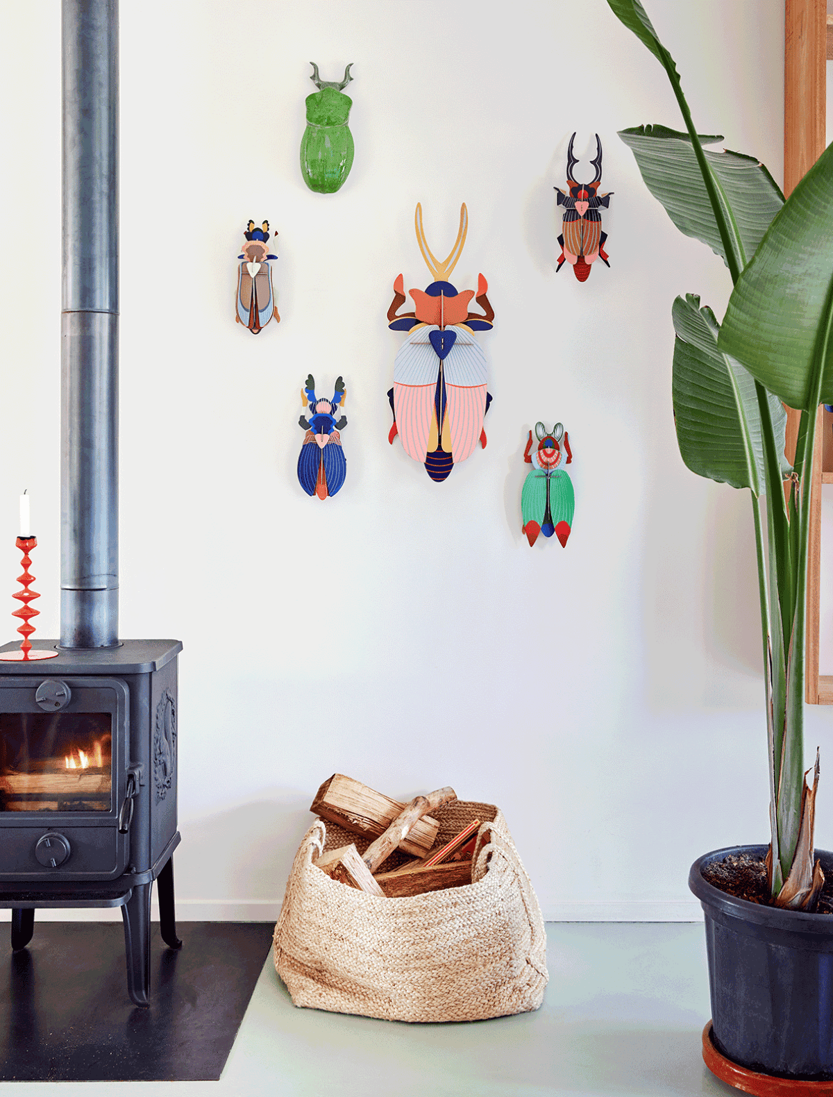 Giant Stag Beetle-Top 30 Decor-Little Fish Co.