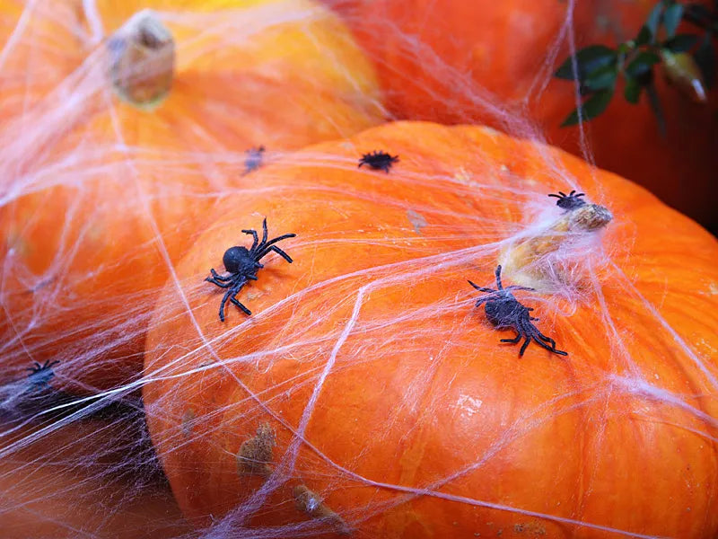 Halloween spiders - 10 piece-Fun-Little Fish Co.