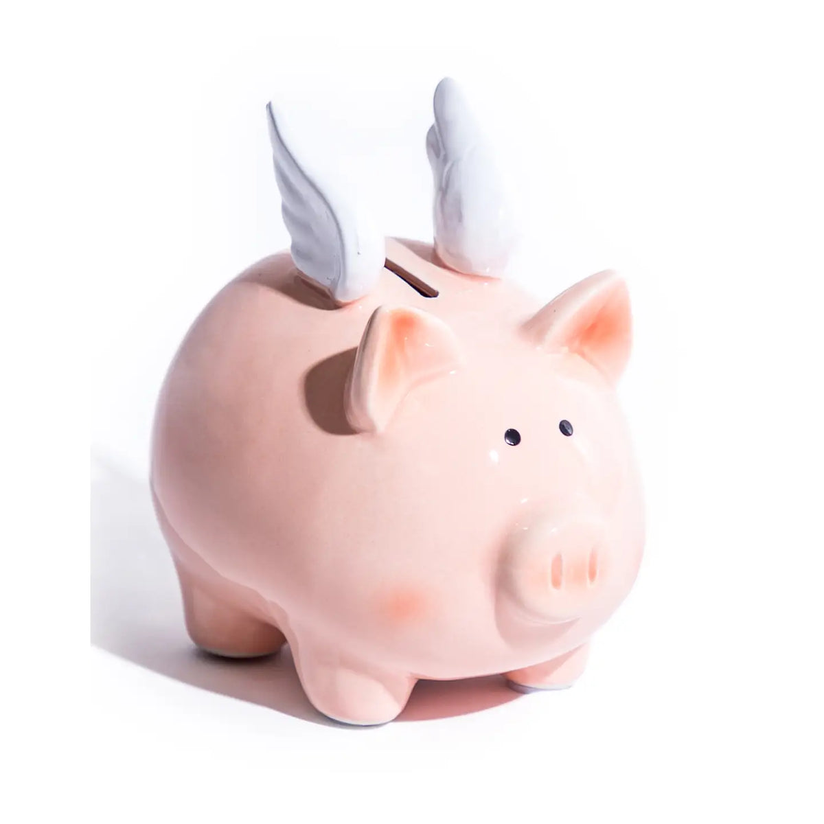 Flying Pig Ceramic  money box