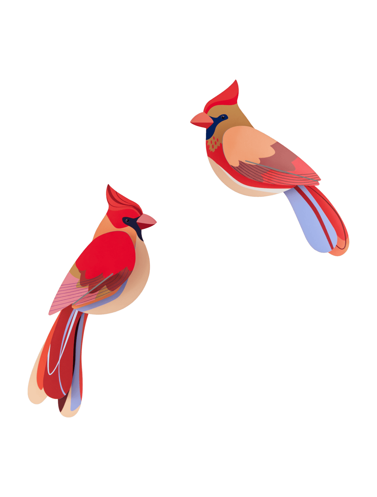 Studio Roof Cardinals-Little Fish Co.