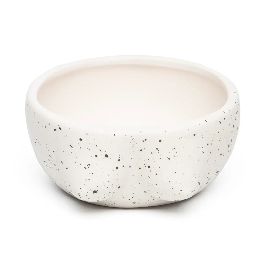 Tits white bowl hand painted