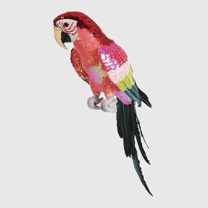Majestic Stardust Parrot Large-Top 30 Christmas-Little Fish Co.