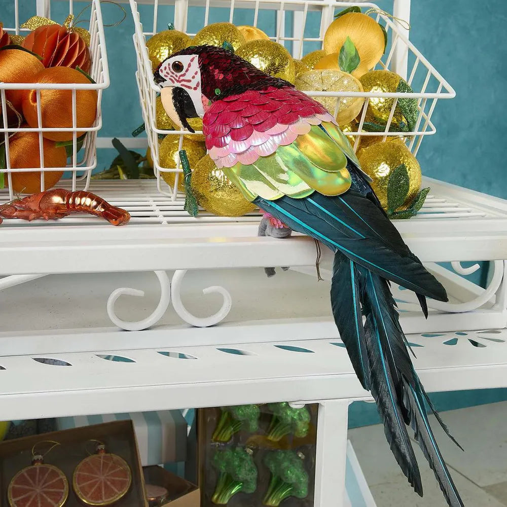 Majestic Stardust Parrot Small-Top 30 Christmas-Little Fish Co.