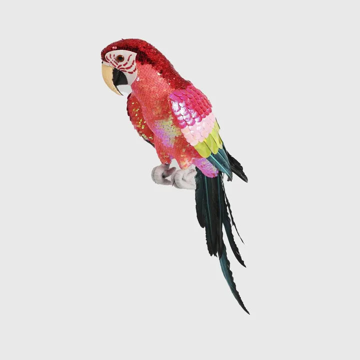 Majestic Stardust Parrot Small-Top 30 Christmas-Little Fish Co.