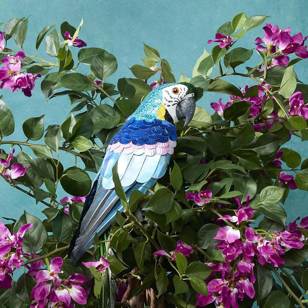 Azure Yellow Belly Parrot Small-Top 30 Christmas-Little Fish Co.