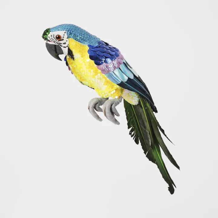 Azure Yellow Belly Parrot Small-Top 30 Christmas-Little Fish Co.
