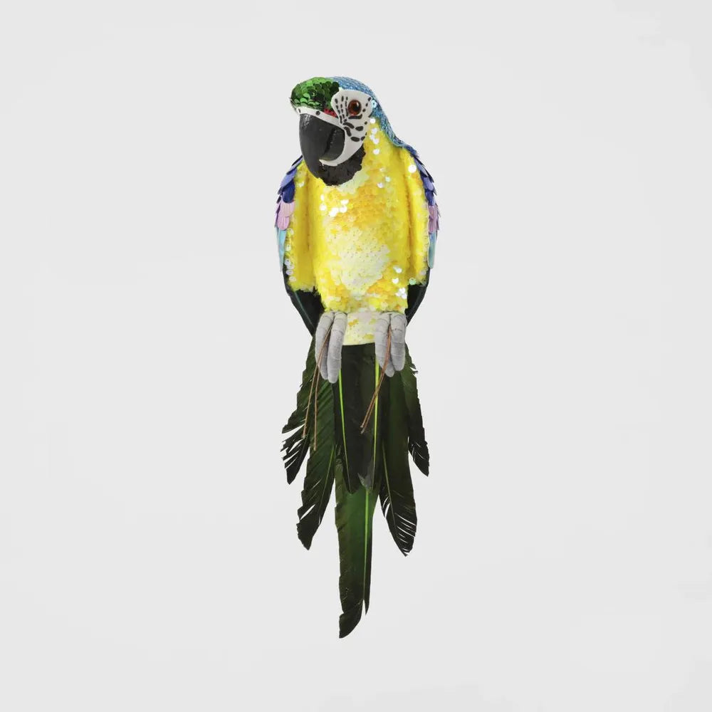 Azure Yellow Belly Parrot Small-Top 30 Christmas-Little Fish Co.