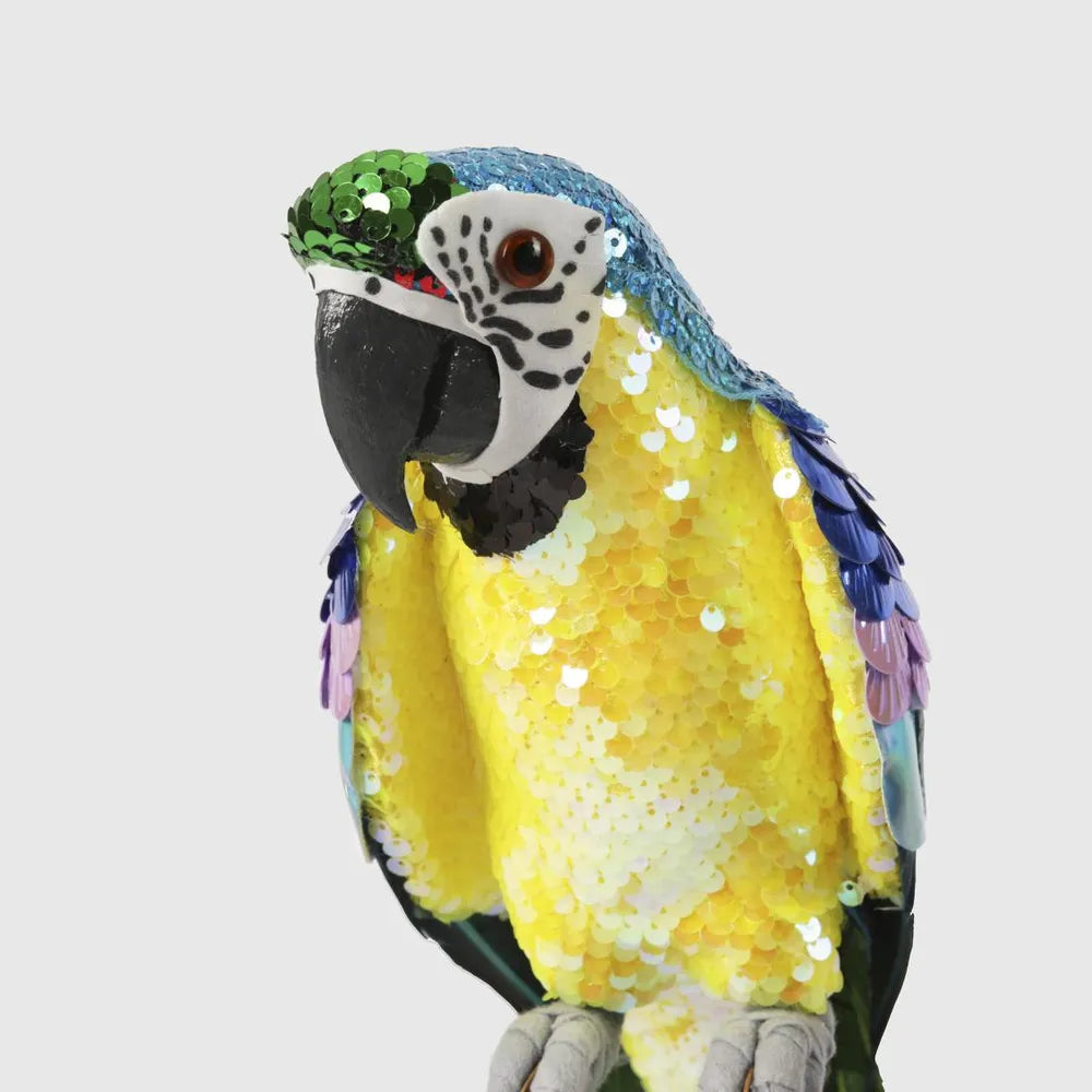 Azure Yellow Belly Parrot Small-Top 30 Christmas-Little Fish Co.