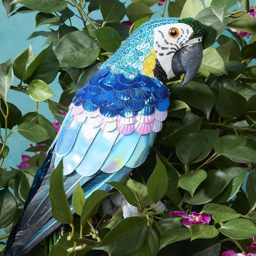 Azure Yellow Belly Parrot Large-Top 30 Christmas-Little Fish Co.