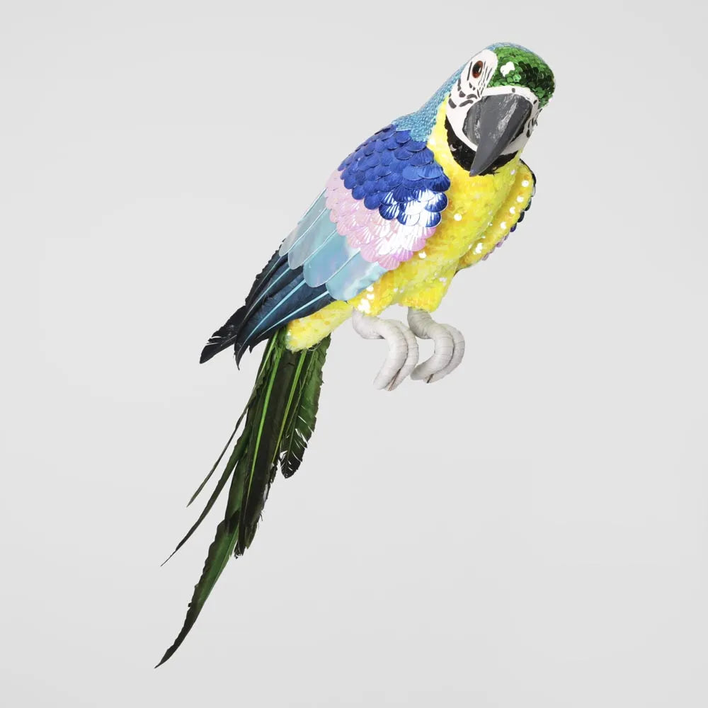 Azure Yellow Belly Parrot Large-Top 30 Christmas-Little Fish Co.