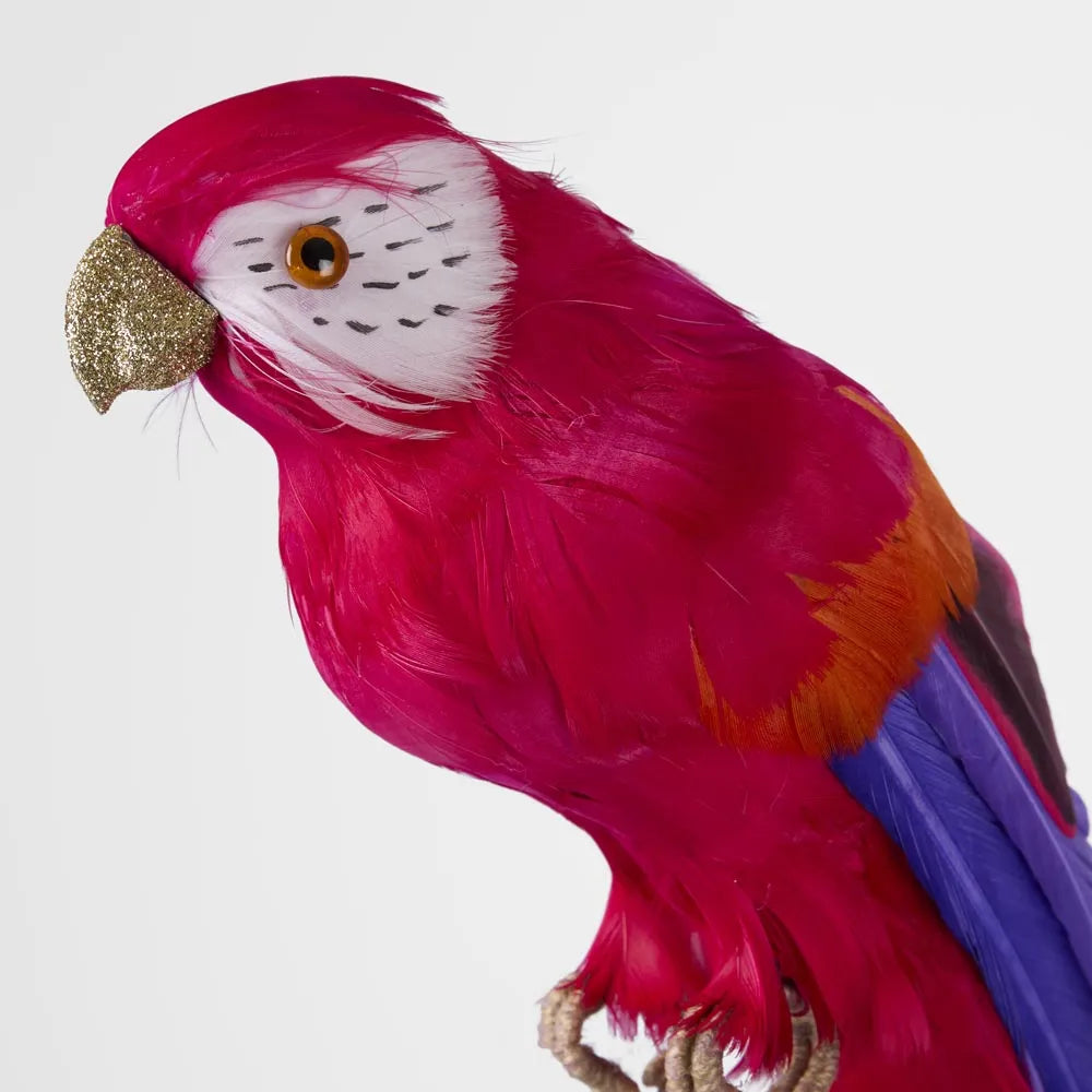 Arnou Fuchsia Parrot-Top 30 Christmas-Little Fish Co.