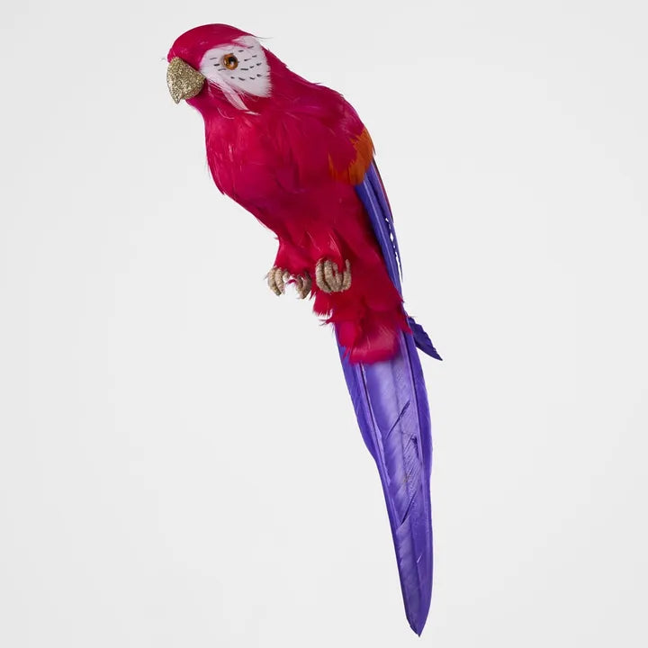 Arnou Fuchsia Parrot-Top 30 Christmas-Little Fish Co.