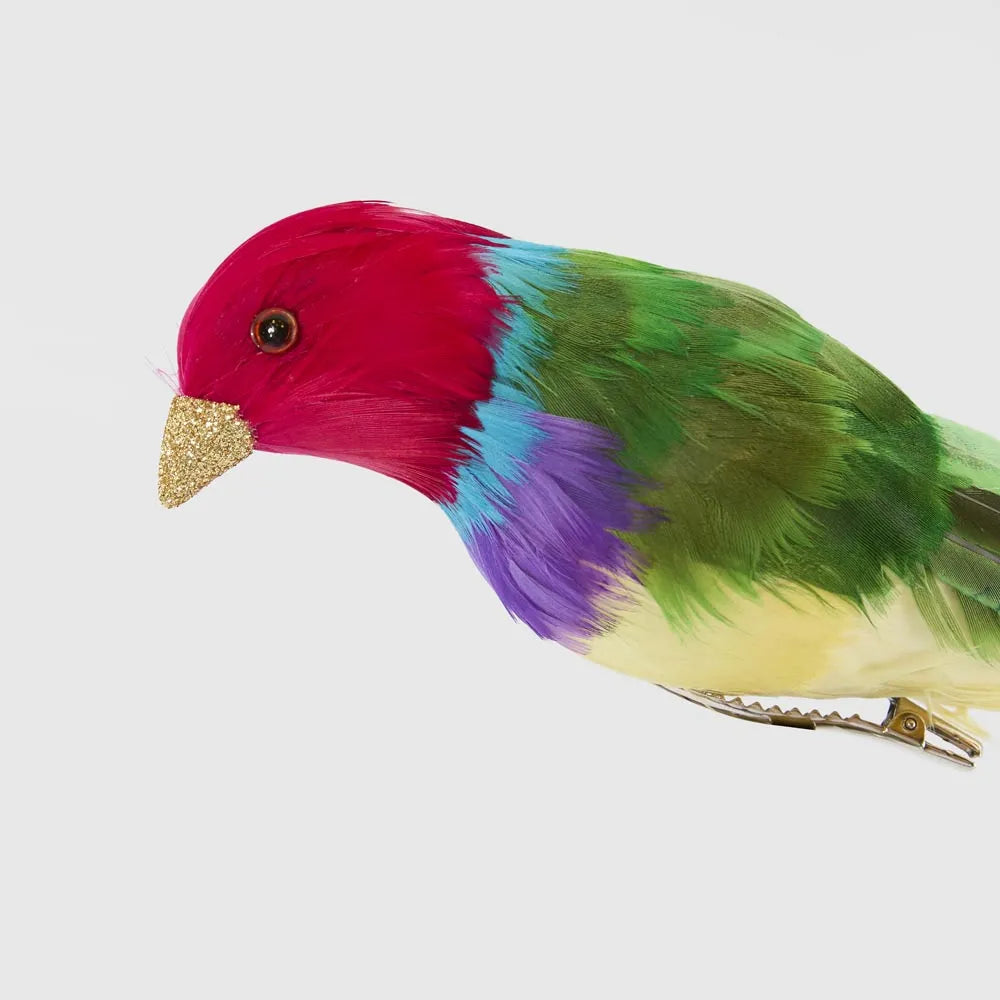Red Headed Finch - Multi colour-Top 30 Christmas-Little Fish Co.