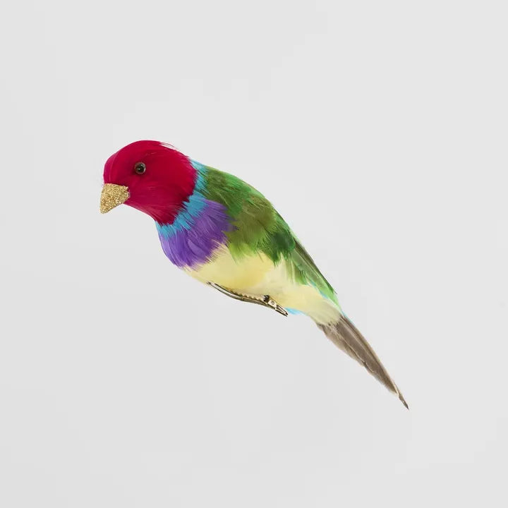 Red Headed Finch - Multi colour-Top 30 Christmas-Little Fish Co.