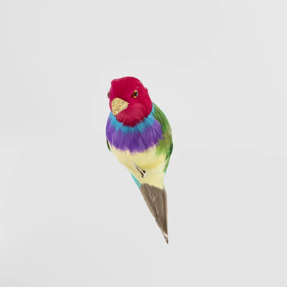 Red Headed Finch - Multi colour-Top 30 Christmas-Little Fish Co.