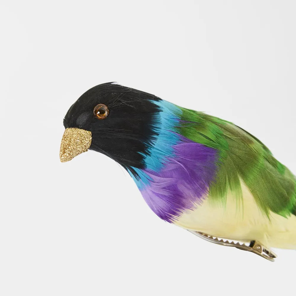 Black Headed Finch - Multi colour-Top 30 Christmas-Little Fish Co.