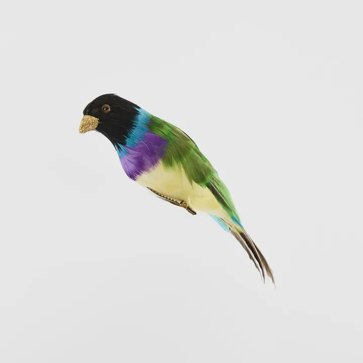 Black Headed Finch - Multi colour-Top 30 Christmas-Little Fish Co.