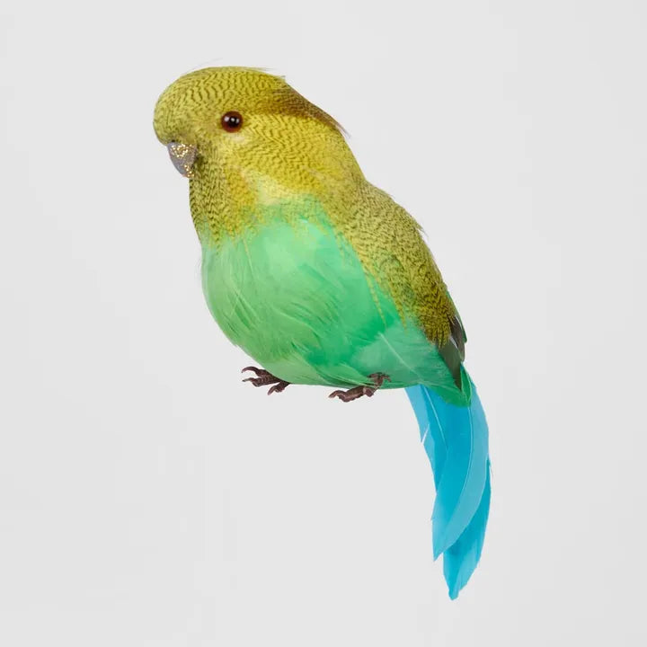 Glitter Beak Budgie Green-Top 30 Christmas-Little Fish Co.