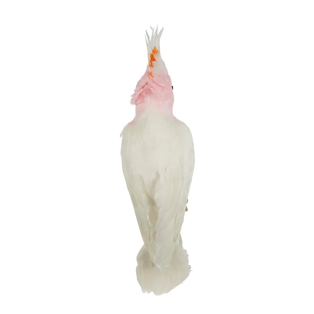 Galah Perched bird large pink-Top 30 Christmas-Little Fish Co.