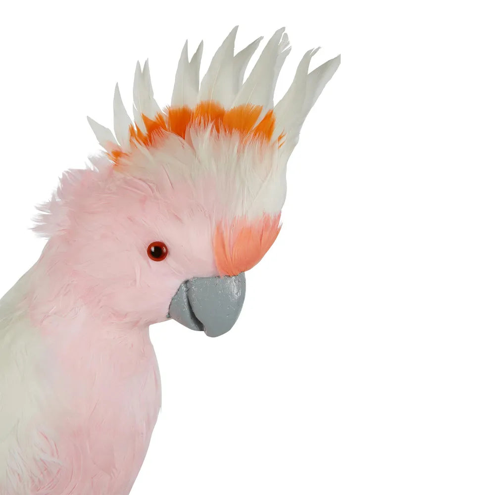 Galah Perched bird large pink-Top 30 Christmas-Little Fish Co.