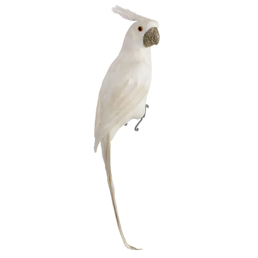 Crawford Glitter Beak Parrot in White-Little Fish Co.