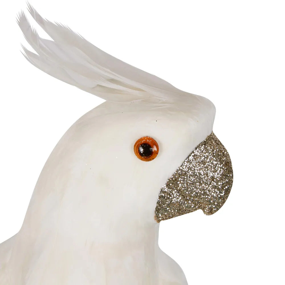 Crawford Glitter Beak Parrot in White-Little Fish Co.