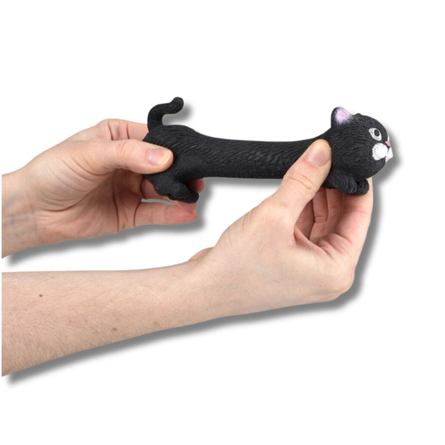 Squeezy Stretchy Cat