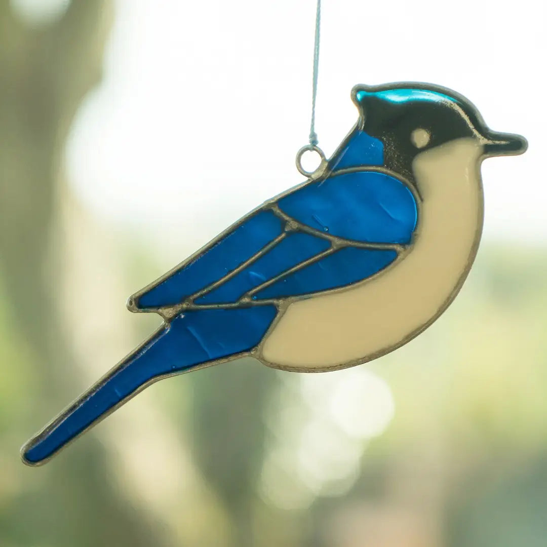 Blue Jay Sun catcher