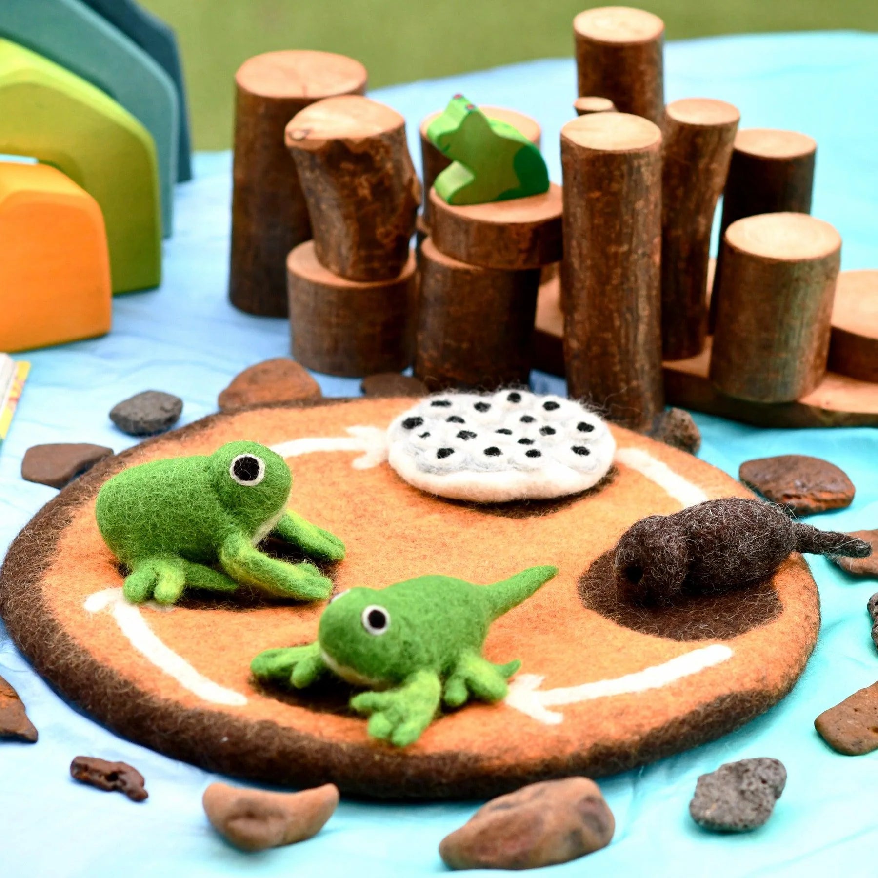 Felt Lifecycle of a Frog-Fun-Little Fish Co.