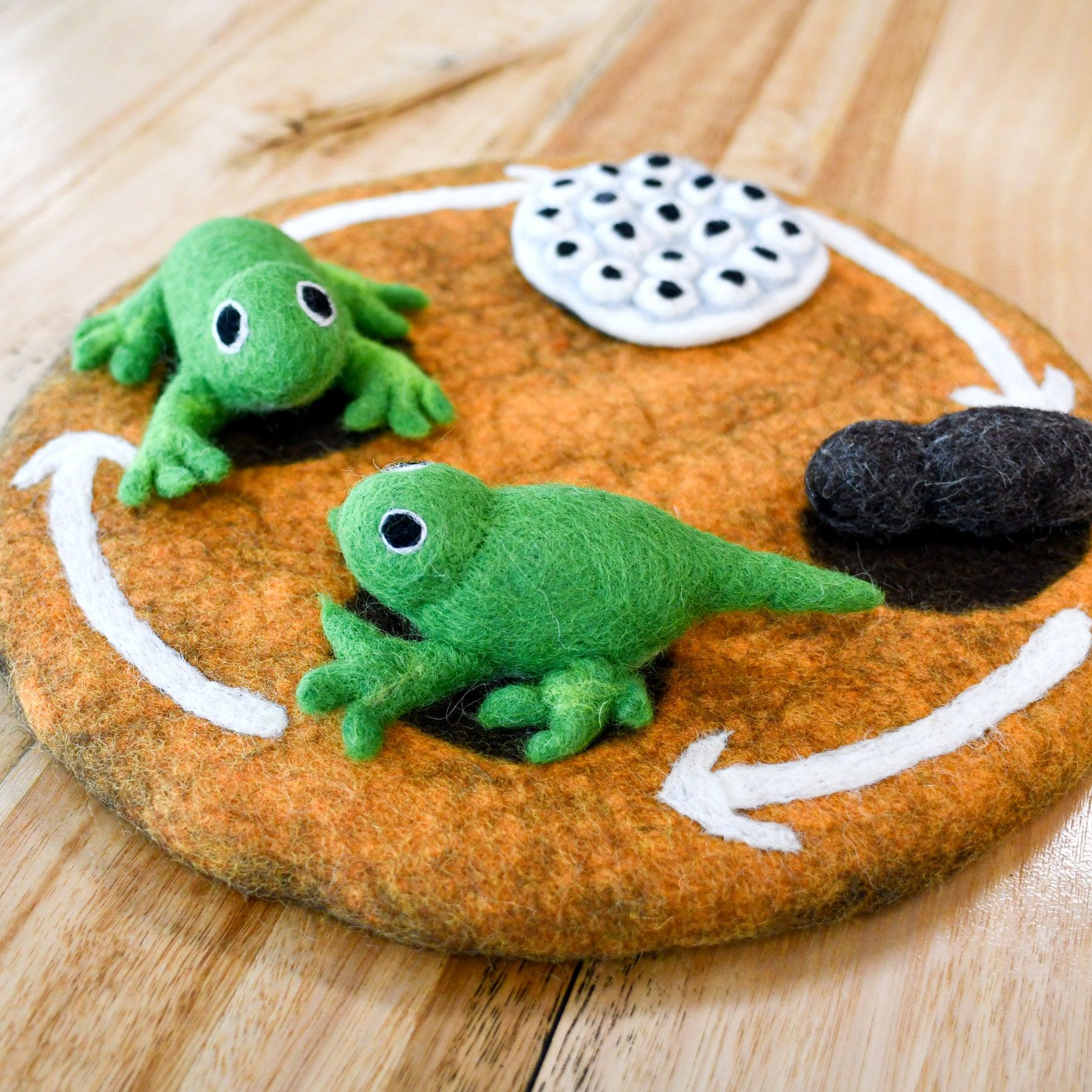 Felt Lifecycle of a Frog-Fun-Little Fish Co.