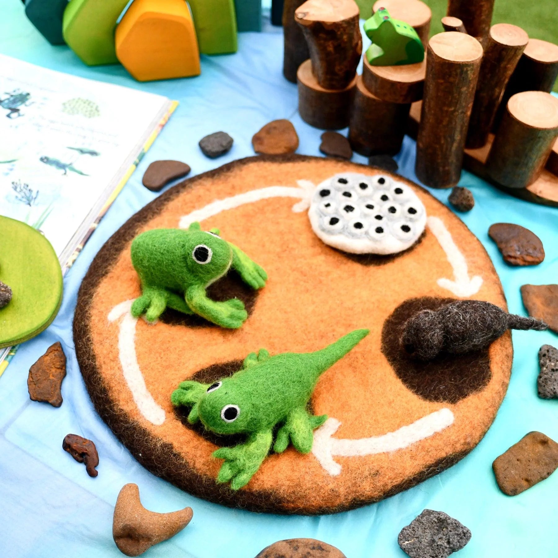 Felt Lifecycle of a Frog-Fun-Little Fish Co.