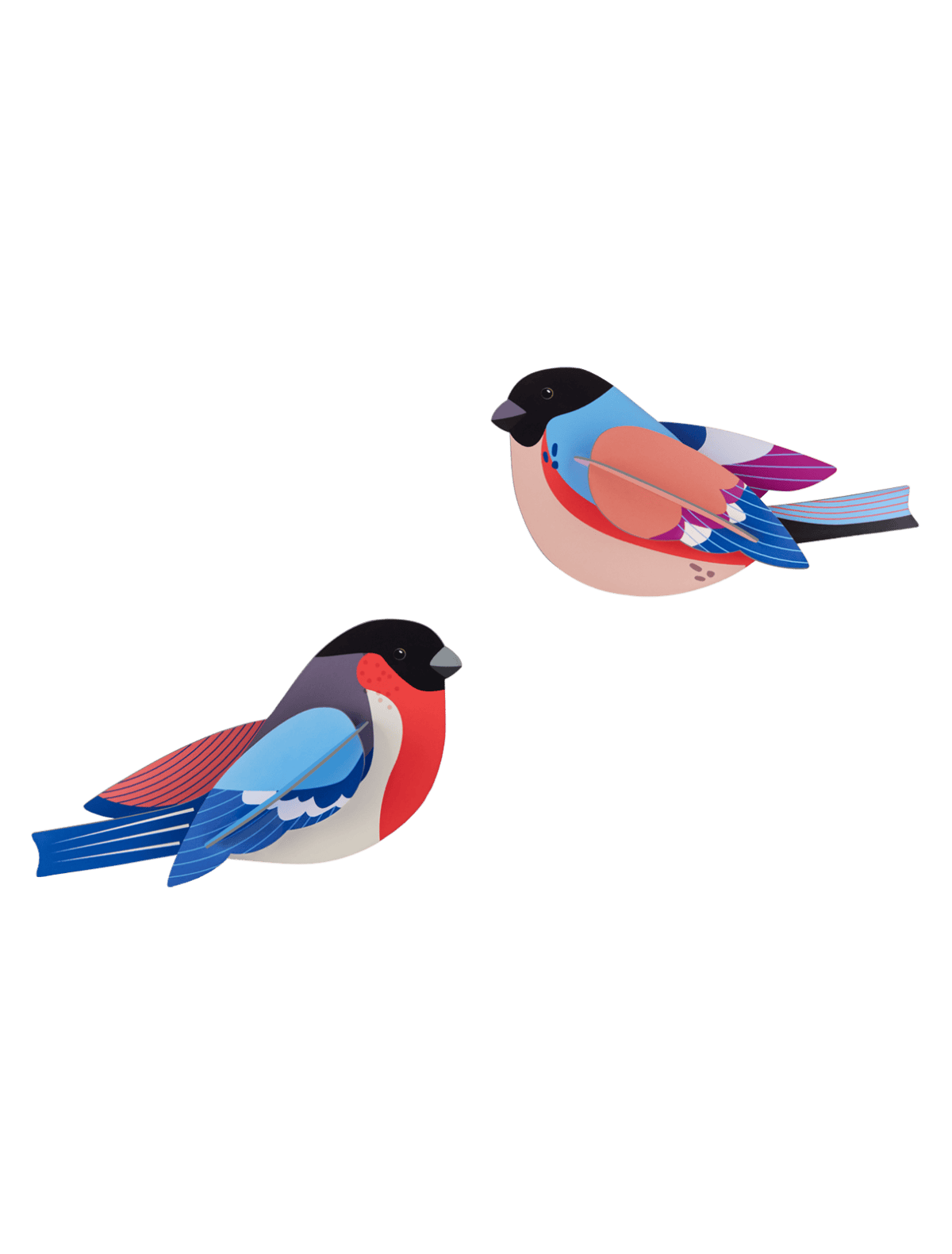 Studio Roof Finches-Little Fish Co.