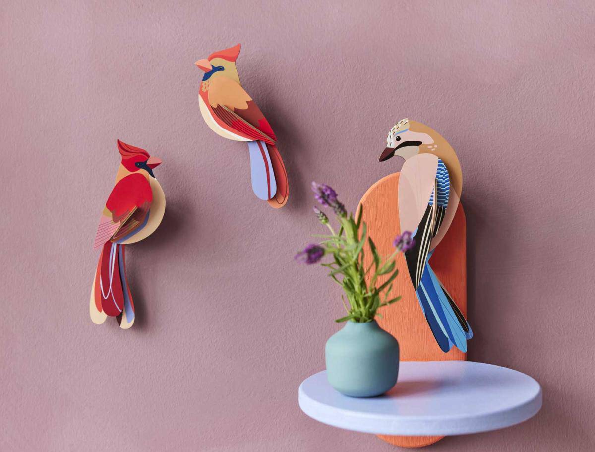 Studio Roof Cardinals-Little Fish Co.