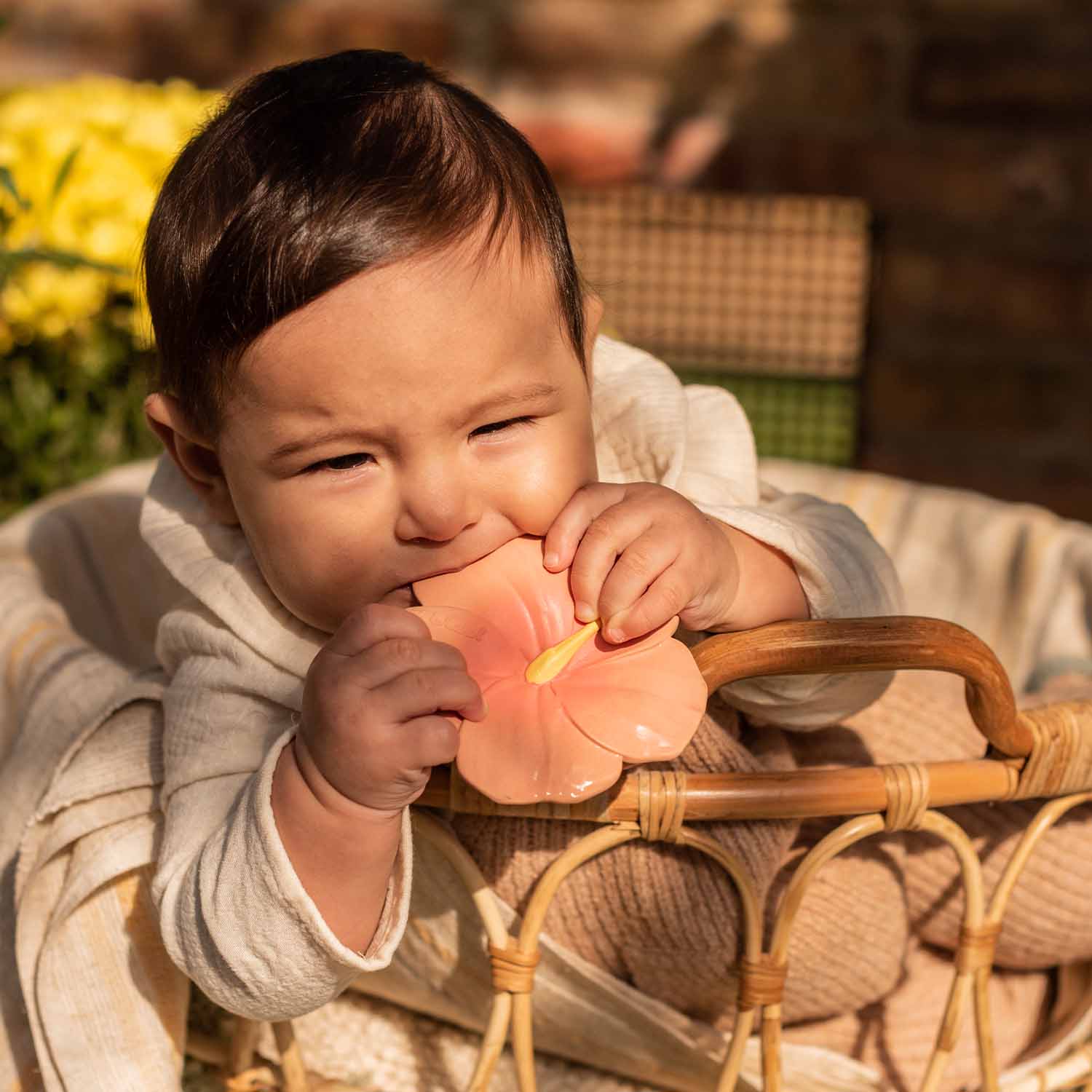 Iris the Hibiscus - Baby teether-Fun-Little Fish Co.