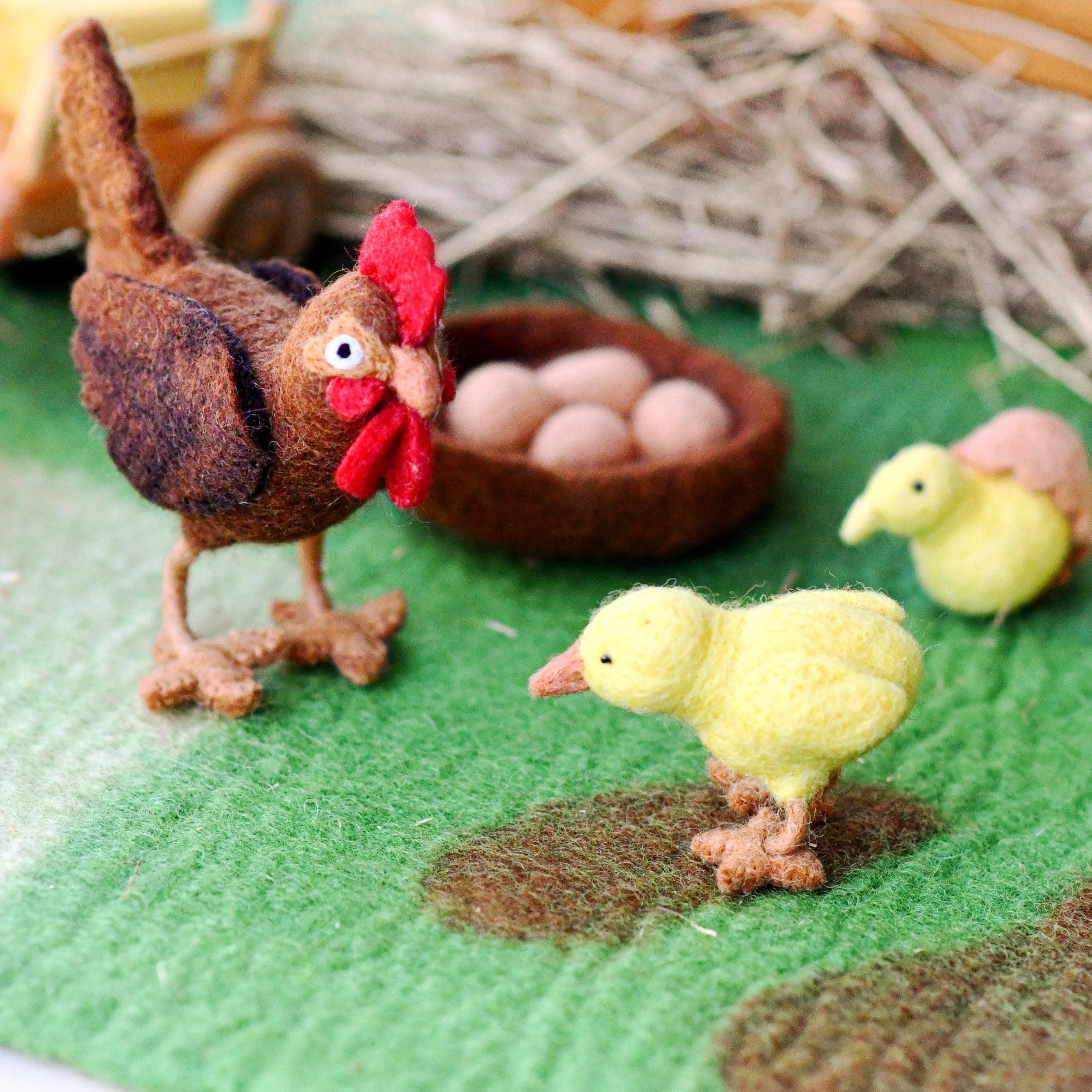 Felt Lifecycle of a Chicken-Fun-Little Fish Co.