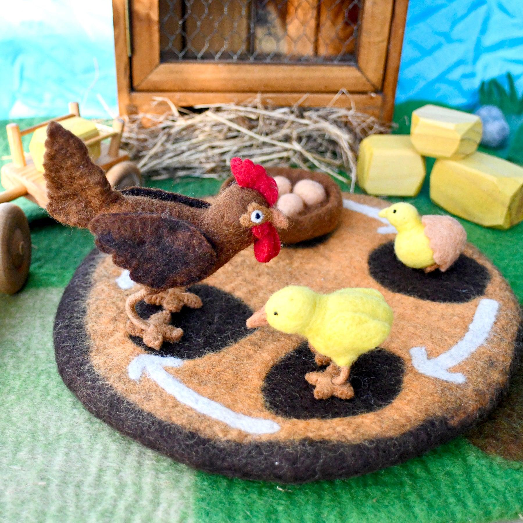 Felt Lifecycle of a Chicken-Fun-Little Fish Co.