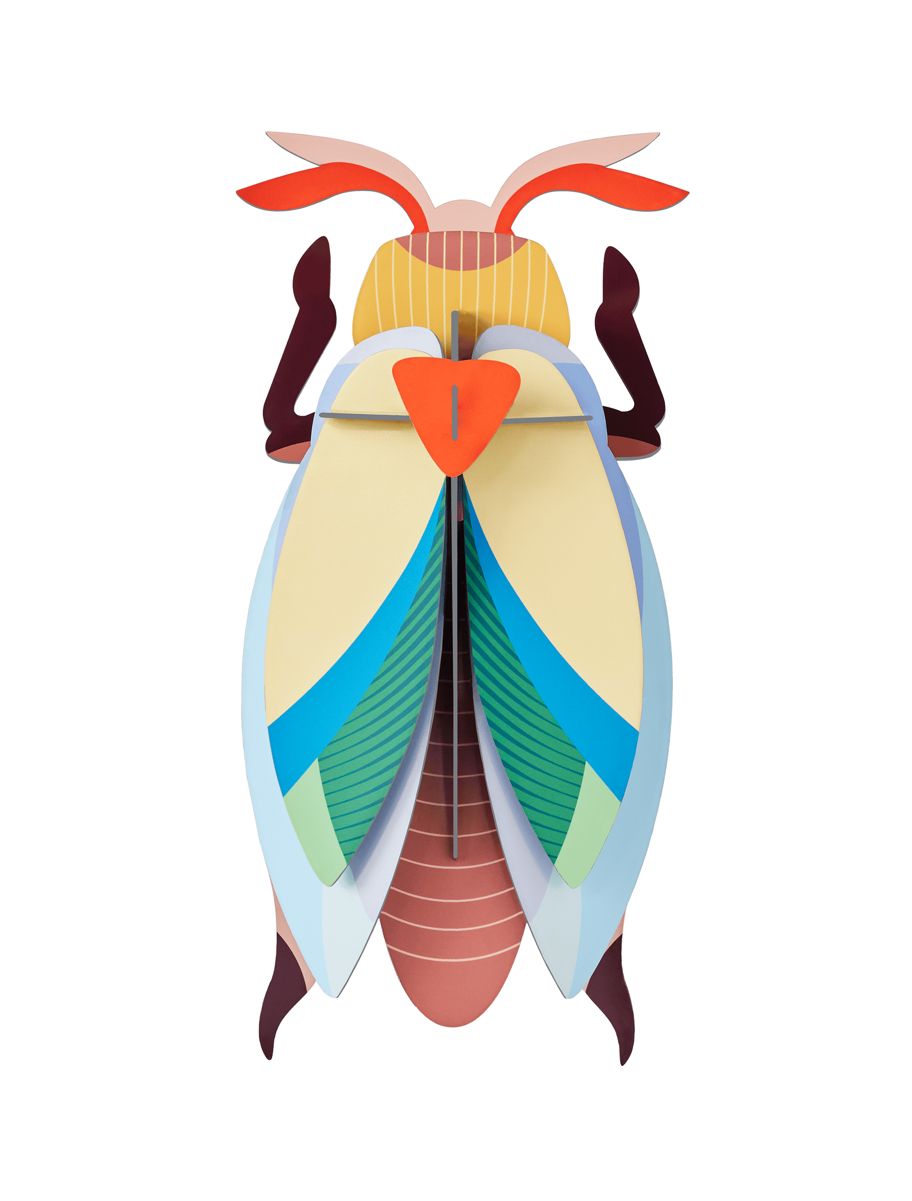 Lunar Jewel Beetle-Top 30 Decor-Little Fish Co.