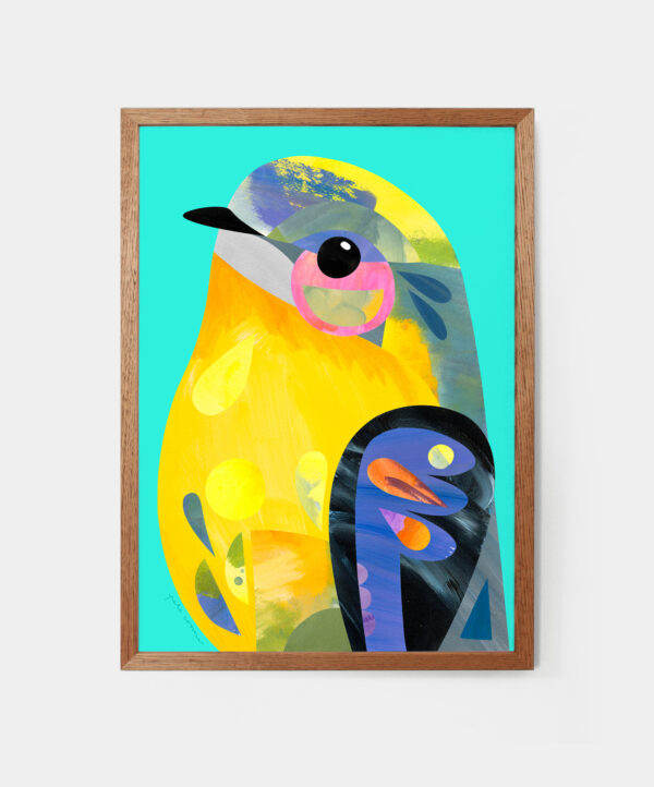 Peter Cromer Eastern yellow Robin- A4-Little Fish Co.