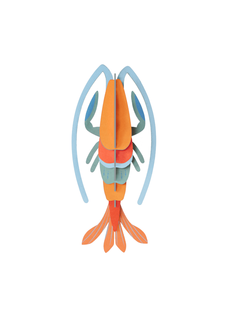 Pomelo Shrimp-Little Fish Co.