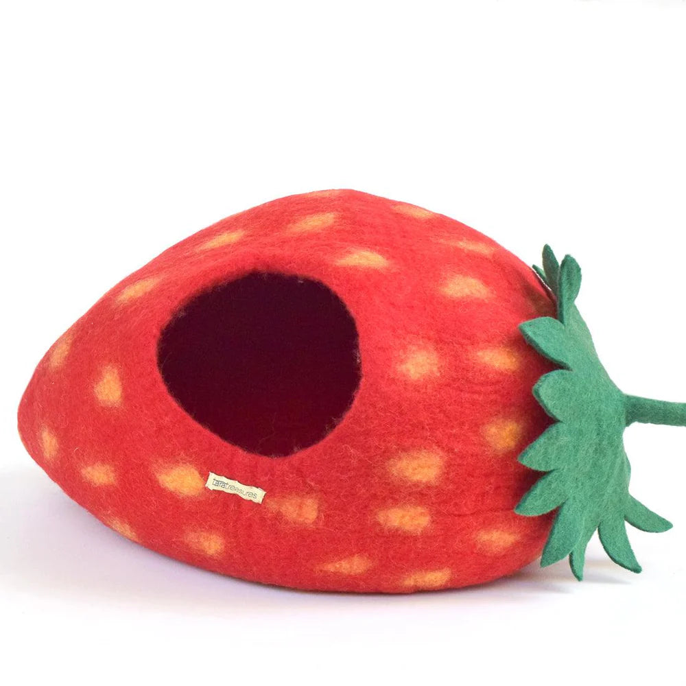 Cat Cave - Strawberry-Fun-Little Fish Co.