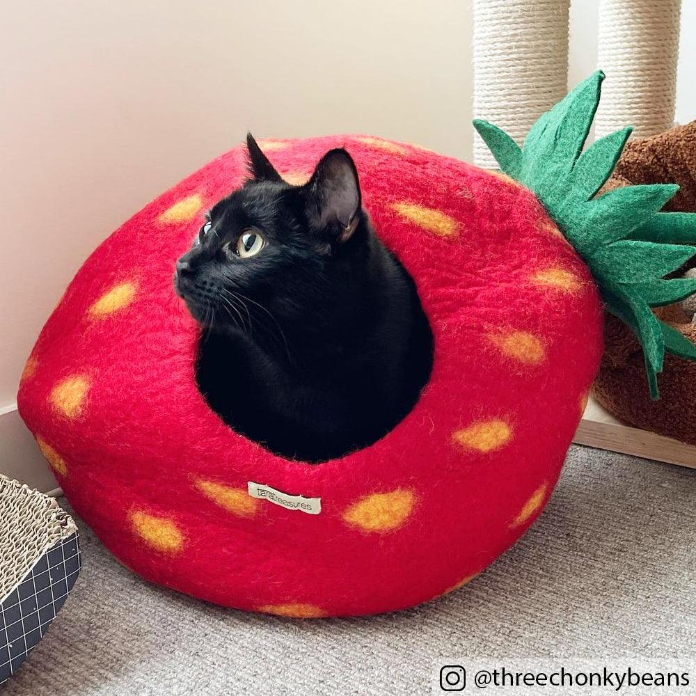 Cat Cave - Strawberry-Fun-Little Fish Co.