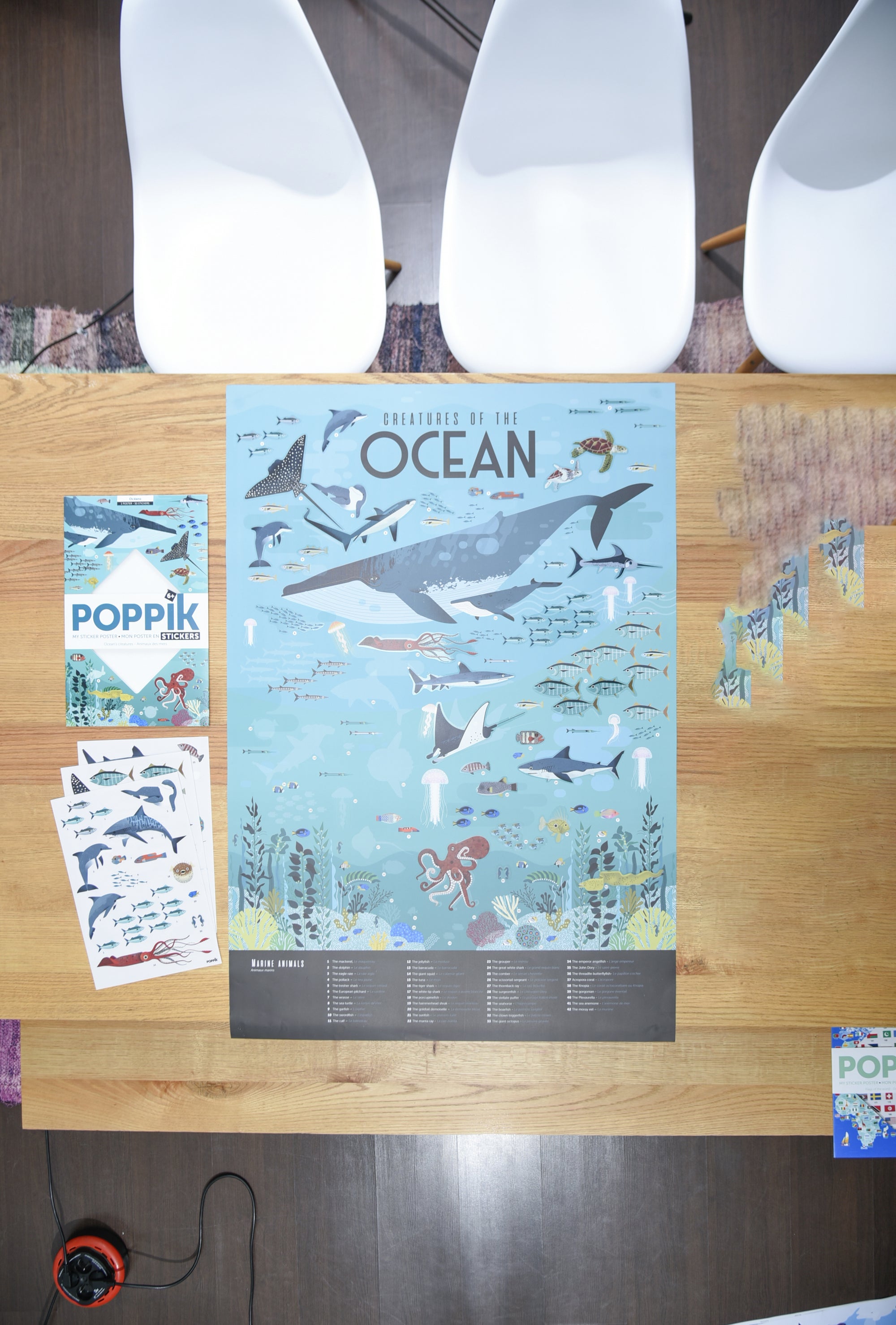 Discovery Stickers oceans-Little Fish Co.