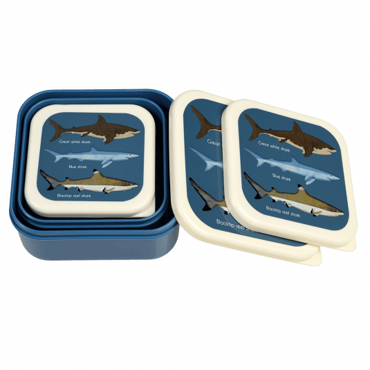 Rex 3 piece snack box Sharks-Little Fish Co.