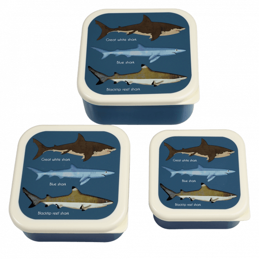 Rex 3 piece snack box Sharks-Little Fish Co.