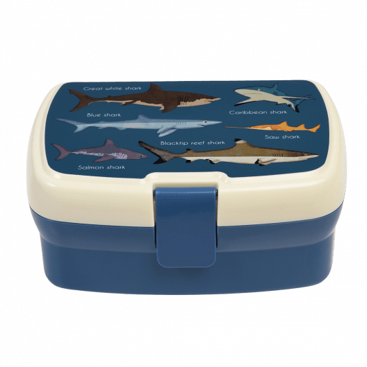 Rex box with tray - Sharks-Lunch Boxes & Totes-Little Fish Co.