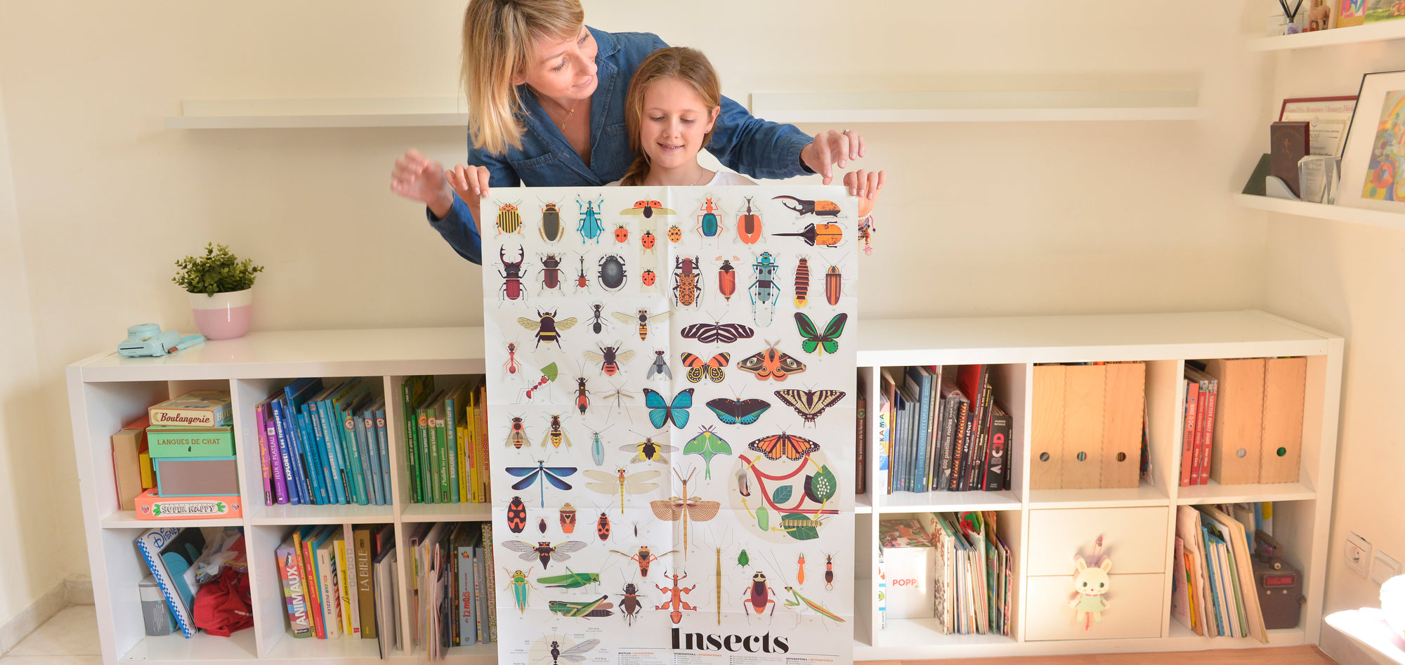 Discovery Stickers Insects-Little Fish Co.